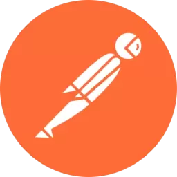 Postman Logo