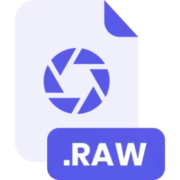 RAW File Format Icon