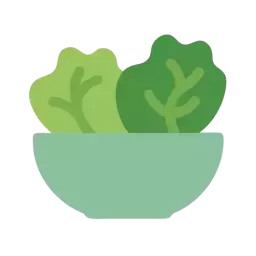 Salad Vector SVG