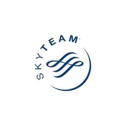SkyTeam Logo