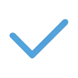 Success Check Icon