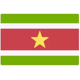Suriname Country Flag