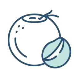 SVG Coconut Icon Free