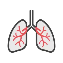 SVG Free Lungs Vector
