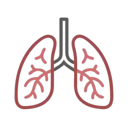 SVG Lungs Icon