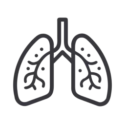 SVG Lungs Symbol