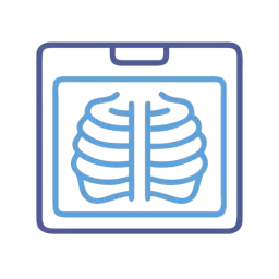 SVG X Ray Vector