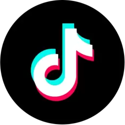 Tiktok Logo Icon