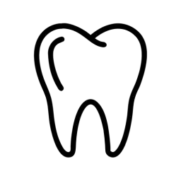 Tooth Vector