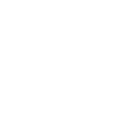 White Chatgpt Logo