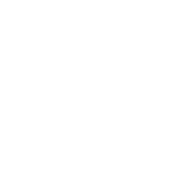 White Copilot Logo