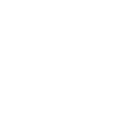 White Deepseek Logo