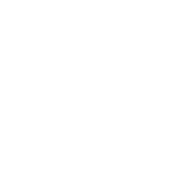 White Fireworks AI Logo