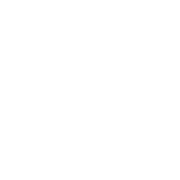 White Gemini Logo
