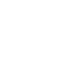 White Grok Logo
