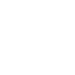 White Huggingface Logo