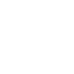 White Mistral AI Logo