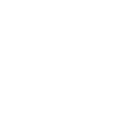White Poe Logo SVG