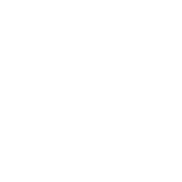 White Xai Logo