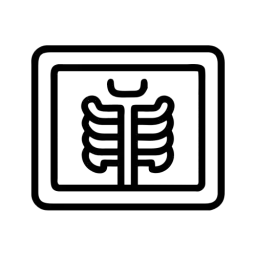 X Ray Vector Free