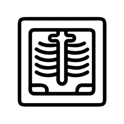 X Ray Vector